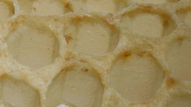 Macro view of honeycomb wax cells in natural light