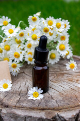 Chamomile Essential Oil Bottle with Fresh Flowers