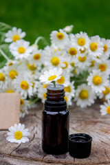Chamomile Essential Oil Bottle with Fresh Flowers
