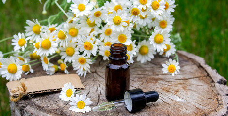 Chamomile Essential Oil Bottle with Fresh Flowers