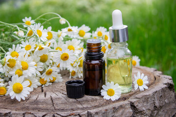Chamomile Essential Oil Bottle with Fresh Flowers