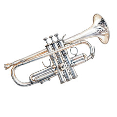 Fototapeta premium Trumpet, watercolor drawing vector, isolated on a white background.