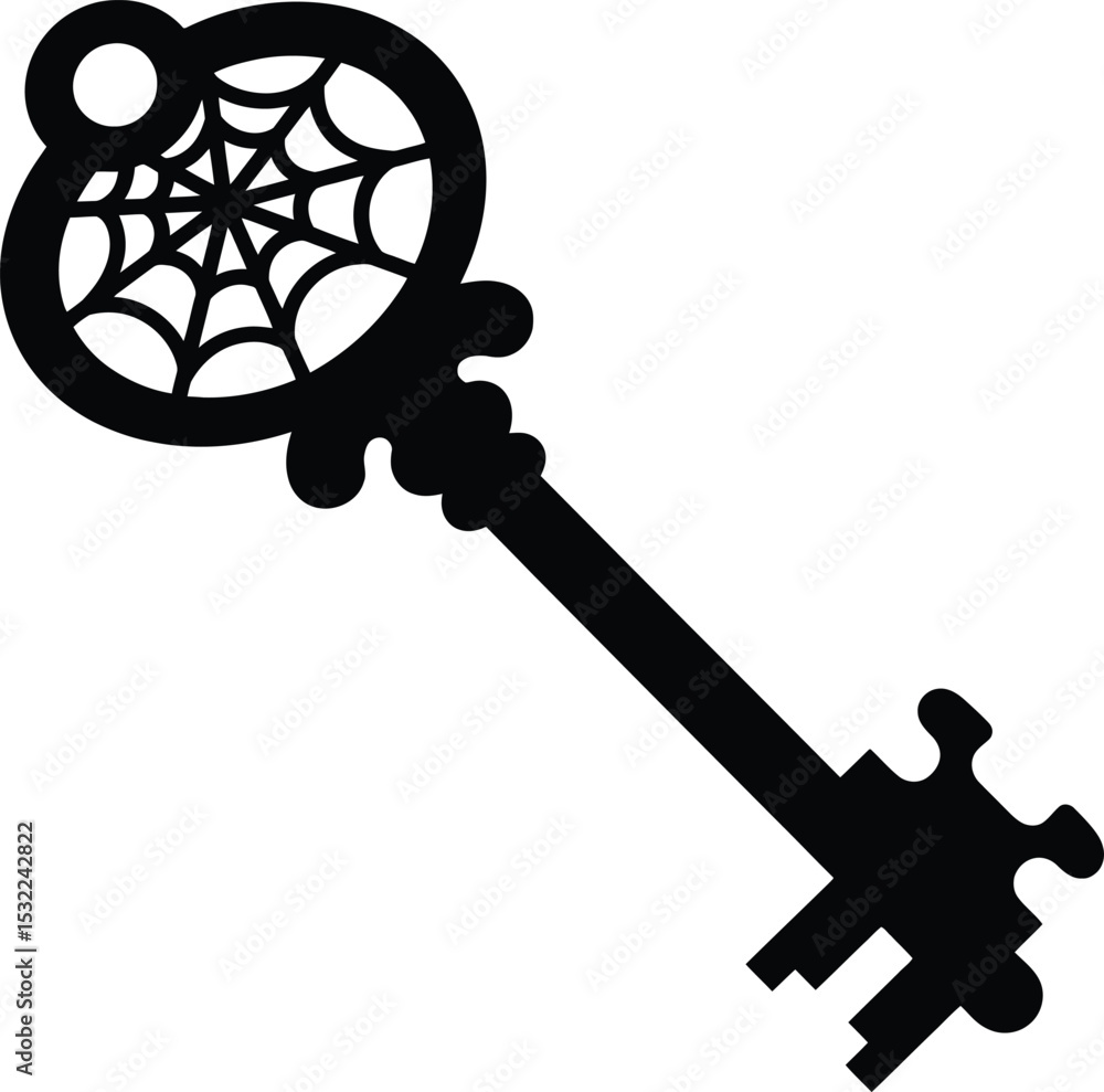 Poster a black silhouette of a key with a spiderweb design on the top portion on a white background