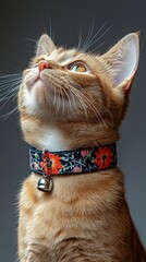 Cat with Floral Collar
