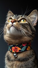 Cat with Floral Collar