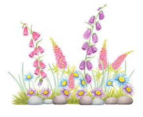 Garden border with foxgloves, lupins, daisies, and grass painted in watercolor illustration. Botanical wildflower clipart for spring banner designs, eco-product packaging, or scrapbooking pages