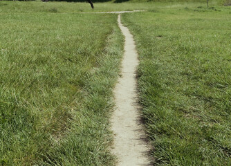 Narrow path on a green meadow with freshly cut grass, concept of direction, choice, and journey through peaceful natural countryside landscape