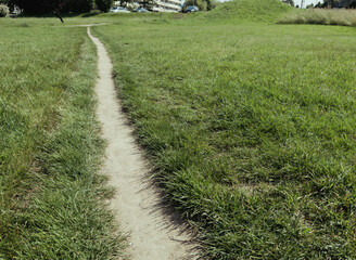Narrow path on a green meadow with freshly cut grass, concept of direction, choice, and journey through peaceful natural countryside landscape