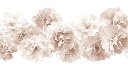 Beige Flowers Border on White Background
