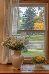 cozy corner with blooming flowers and view of rainy street outside window