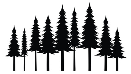 Silhouetted evergreen trees forest nature landscape