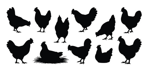 Collection of Chicken Silhouettes in Various Poses
