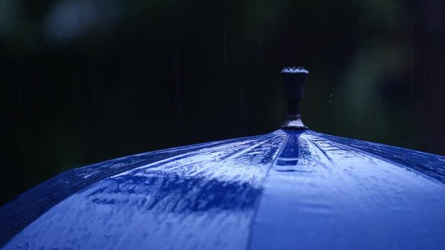 Raindrops fall on clear umbrellas under a dry tree branch and a heavy rain thunderstorm.