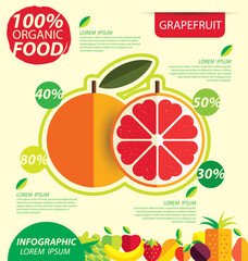 Grapefruit. Infographic template. vector illustration.