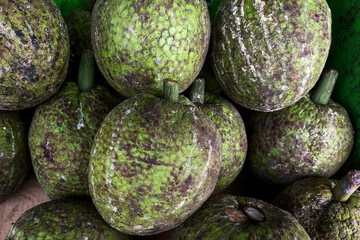 A close-up of freshly harvested breadfruits with green, textured skin and brown patches, stacked together in a market setting, ready for sale and consumption.