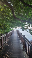 Beautiful promenade on the beach