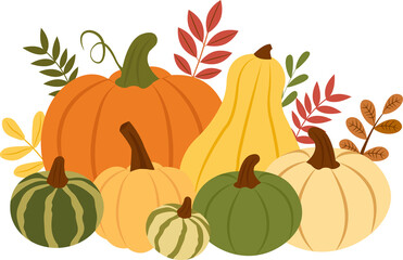 Colorful Pumpkins with autumn leaves.Thanksgiving Harvest Fall Pumpkin Holiday Food. Vector illustration