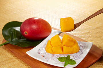 完熟マンゴー_宮崎県産