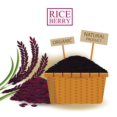 Rice in Basket isolated on white background. vector illustration.
