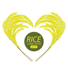 Rice. Vector illustration.