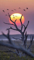 Silhouetted birds fly past a dead tree at sunset. The sun is a vibrant orange and pink, creating a dramatic and peaceful scene. The image evokes feelings of serenity and the beauty of nature.