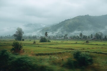 Obraz premium Misty mountain valley with lush green rice paddies and a small village nestled amongst the fog