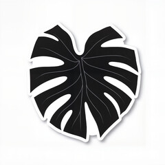Black monstera leaf silhouette on a white background  