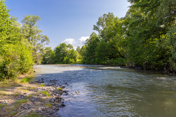 Tarnava Mica River polluted with salt water from the Praid salt mine - Romania