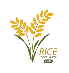 Rice. Vector illustration.