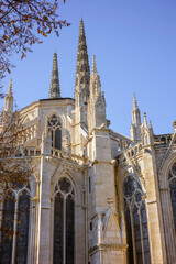 Obraz premium The Cathédrale Saint-Andre showcases intricate gothic architecture, detailed windows, and spires, framed by autumn foliage. Bordeaux. France