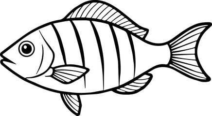bream fish outline vector illustration line art