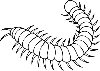 Bristle Worm outline vector illustration line art