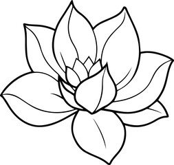 Magnolia flower outline vector illustration line art
