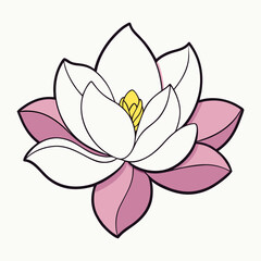 Colored magnolia flower with green leaves vector illustration