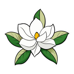 Colored magnolia flower with green leaves vector illustration