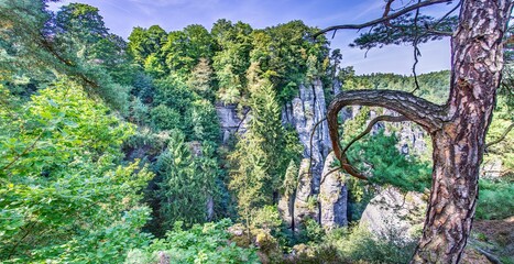 Fototapety na wymiar - Fototapeta24.pl