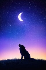 Night Sky with Wolf and Moon