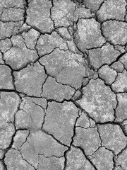 Cracked earth. Large deep chaotic cracks in ground. Natural phenomenon, disaster. Arid agricultural field, drought. Lifeless desert. Drought Concept. Dry Cracked Ground Texture, Climate Change. Summer
