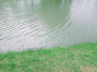 Calm Garden Pond with Rippling Water in Asian Style.