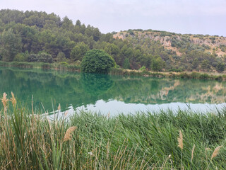 Lake in nature