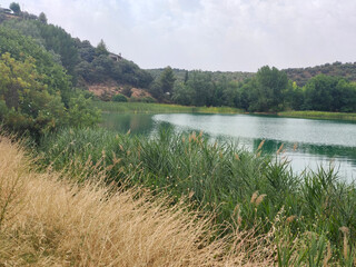 Lake in nature