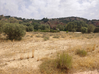 Spanish agriculture