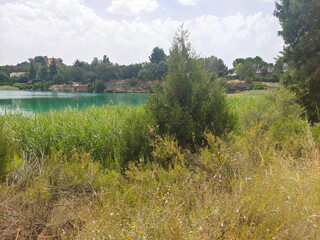 Lake in nature