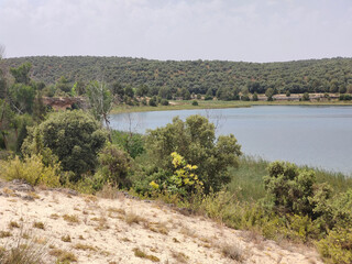 Lake in nature