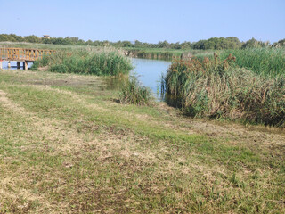 Lake in nature