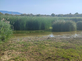 Lake in nature