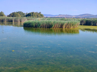 Lake in nature