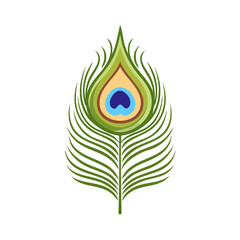 Obraz premium Peacock feather vector illustration for decoration, janmashtami, feather logo 