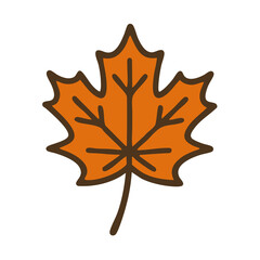 A flat maple leaf with autumn colors.