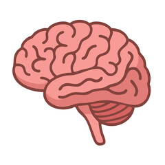 Brain side profile vector illustration